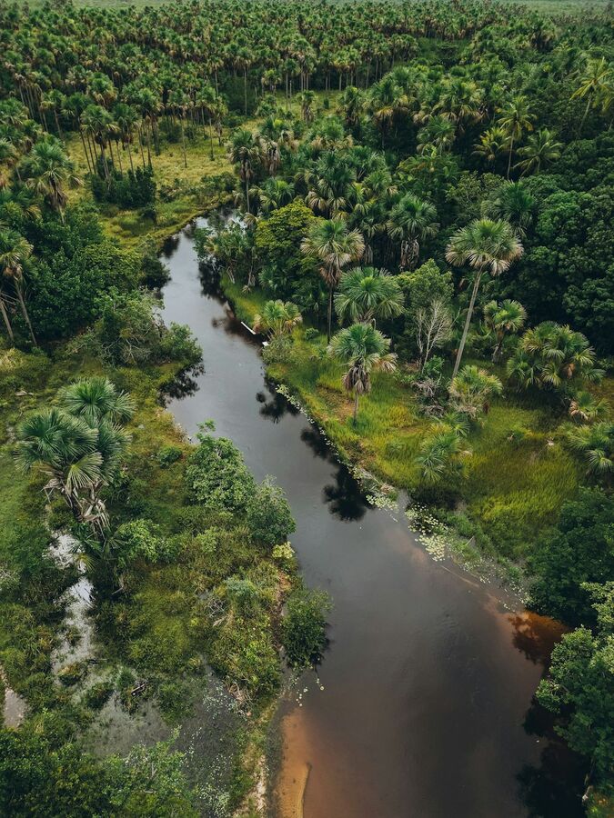Propriedades rurais e agronegócio